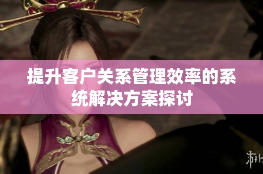提升客户关系管理效率的系统辉煌国际的解决方案探讨